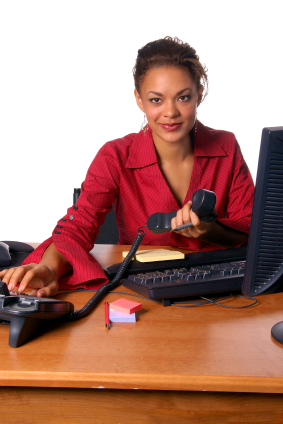 Professional Blogger