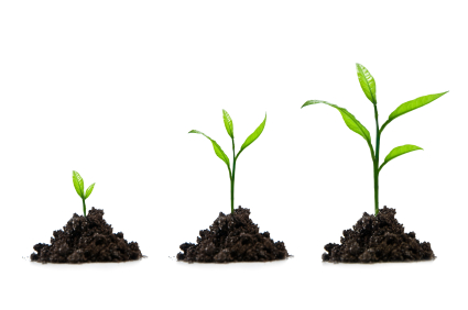 The evolution of blogging